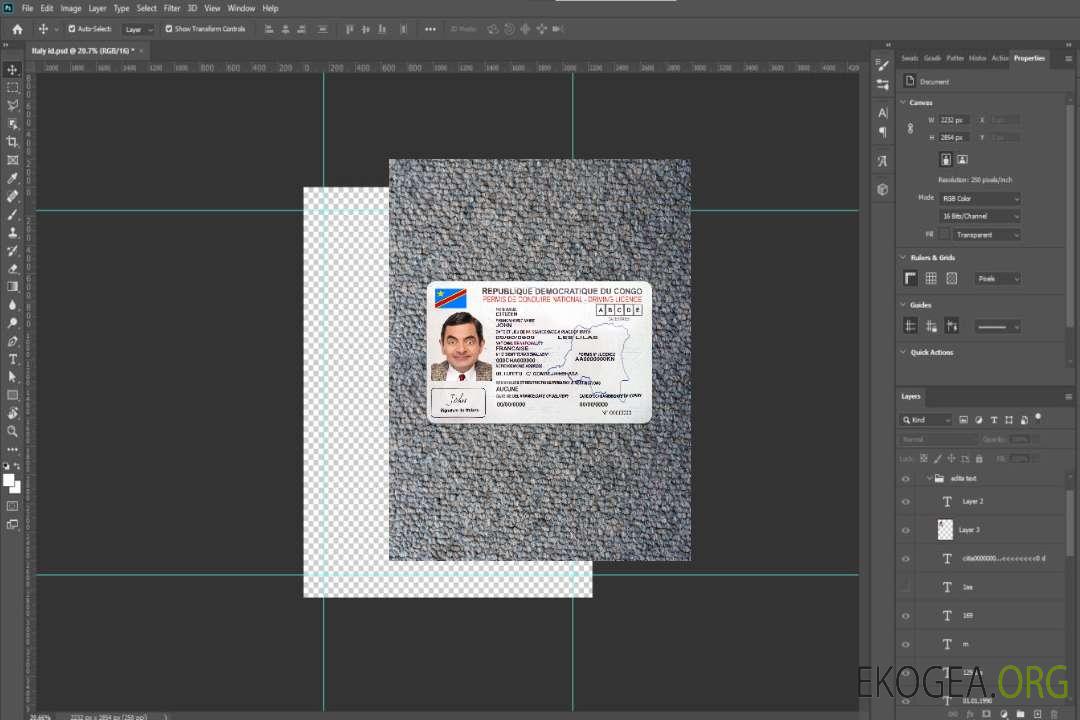 Photolook recto du permis de conduire national du Congo template